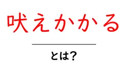 吠えかかるとは？犬の行動を読み解く基礎ガイド共起語・同意語・対義語も併せて解説！