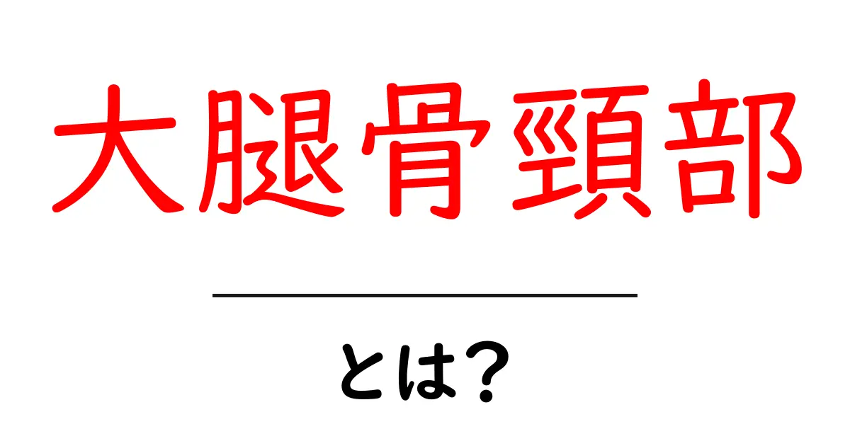 大腿骨頸部とは?初心者向けにやさしく解説する基礎ガイド共起語・同意語・対義語も併せて解説!