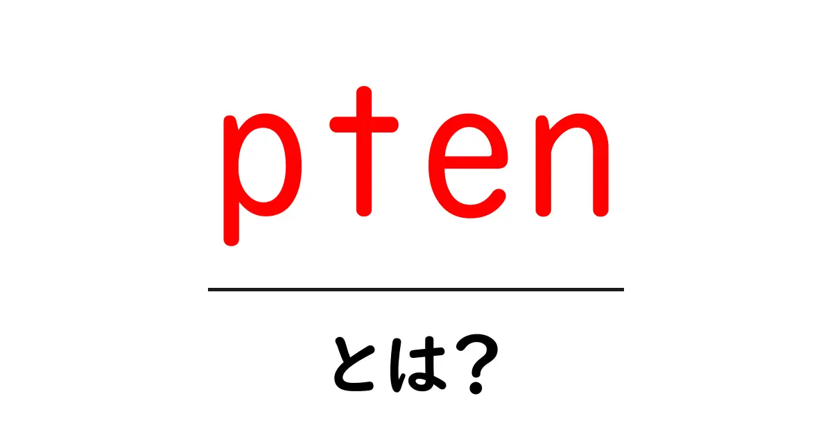 pten・とは？初心者向けにPTENの基本と役割を解説共起語・同意語・対義語も併せて解説！