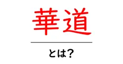 華道とは？初心者向けに基礎と魅力を解説共起語・同意語・対義語も併せて解説！