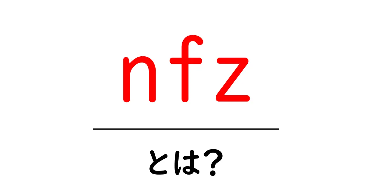nfzとは？初心者向け解説と活用のヒント共起語・同意語・対義語も併せて解説！