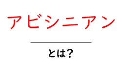 アビシニアンとは？初心者のための猫種ガイドと飼い方の基本共起語・同意語・対義語も併せて解説！