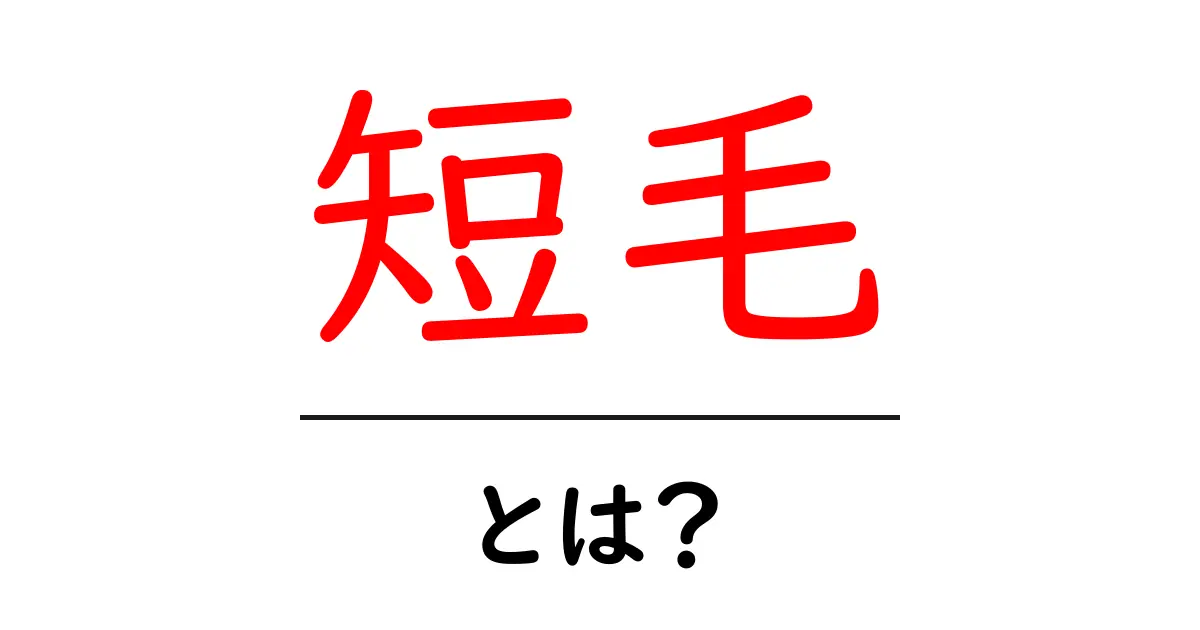 短毛とは？初心者向けにわかりやすく解説共起語・同意語・対義語も併せて解説！