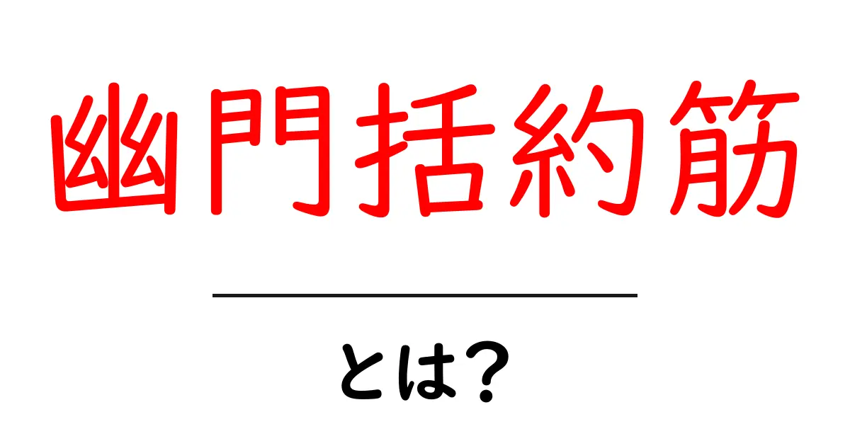 幽門括約筋・とは？初心者にもわかるやさしい解説で体の仕組みを理解しよう共起語・同意語・対義語も併せて解説！