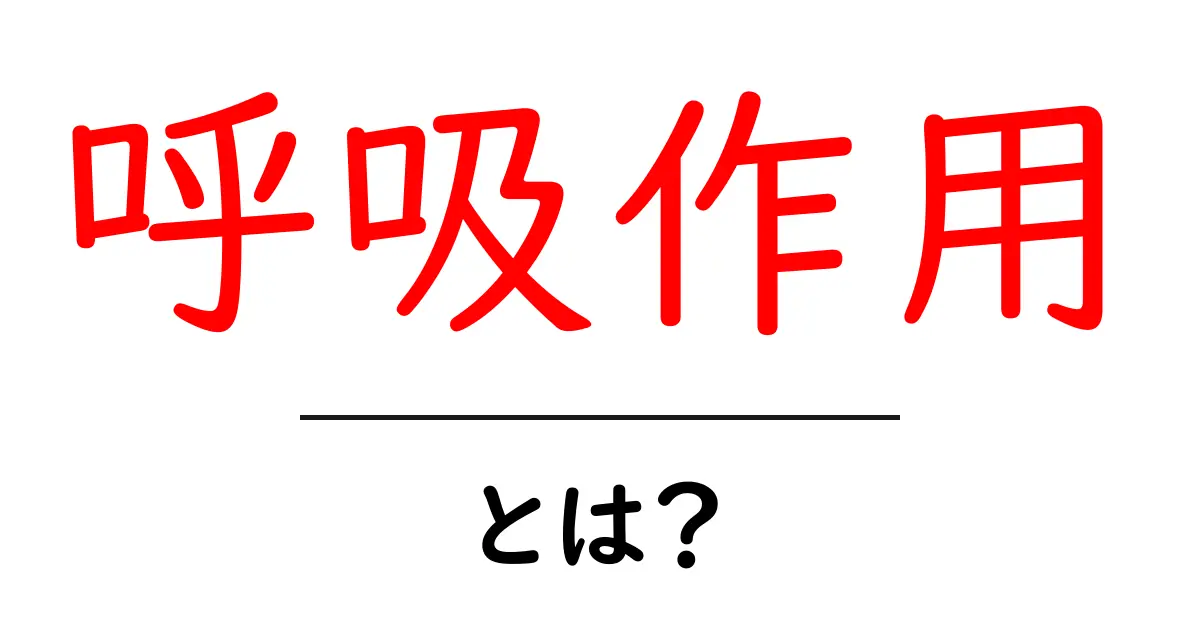 呼吸作用とは？中学生にも分かる生物の息づかいのしくみ共起語・同意語・対義語も併せて解説！