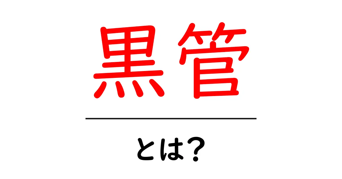 黒管・とは?初心者にもわかる基礎解説と活用ガイド共起語・同意語・対義語も併せて解説!