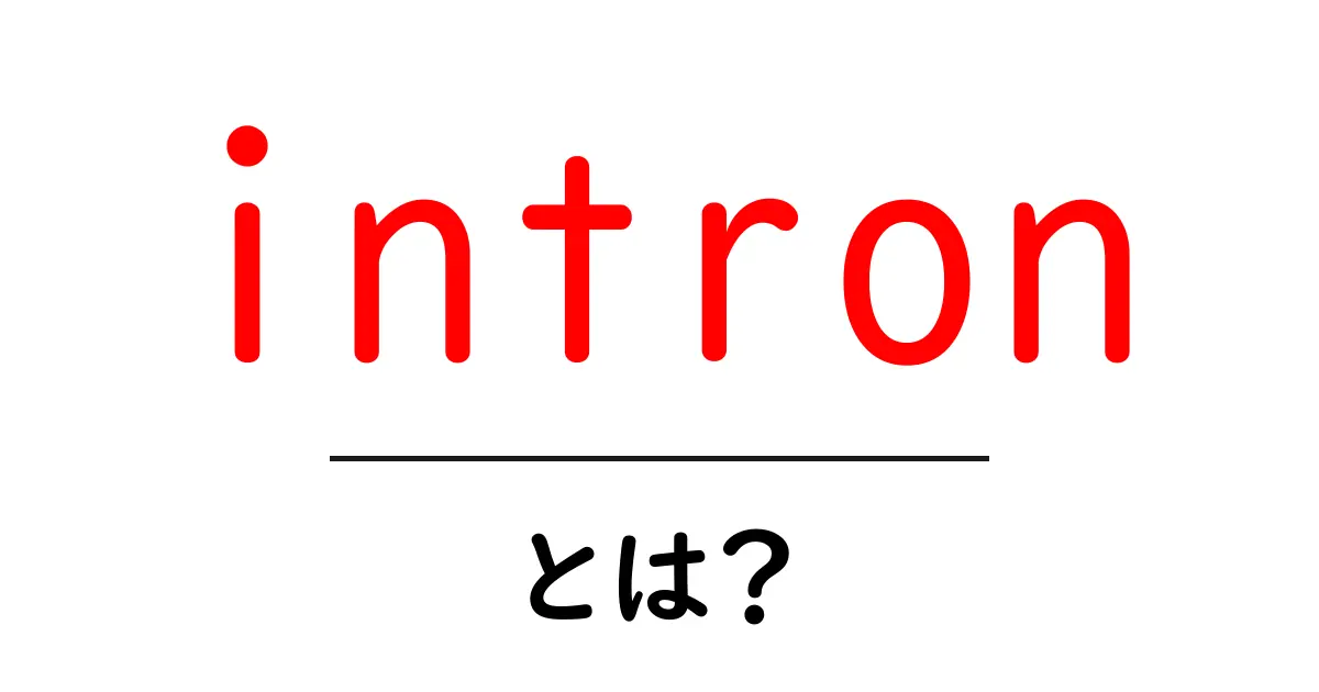 intronとは？初心者でもわかる基礎としくみをやさしく解説共起語・同意語・対義語も併せて解説！