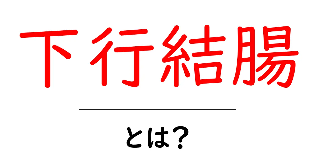 下行結腸・とは？初心者にもわかるやさしい解説共起語・同意語・対義語も併せて解説！