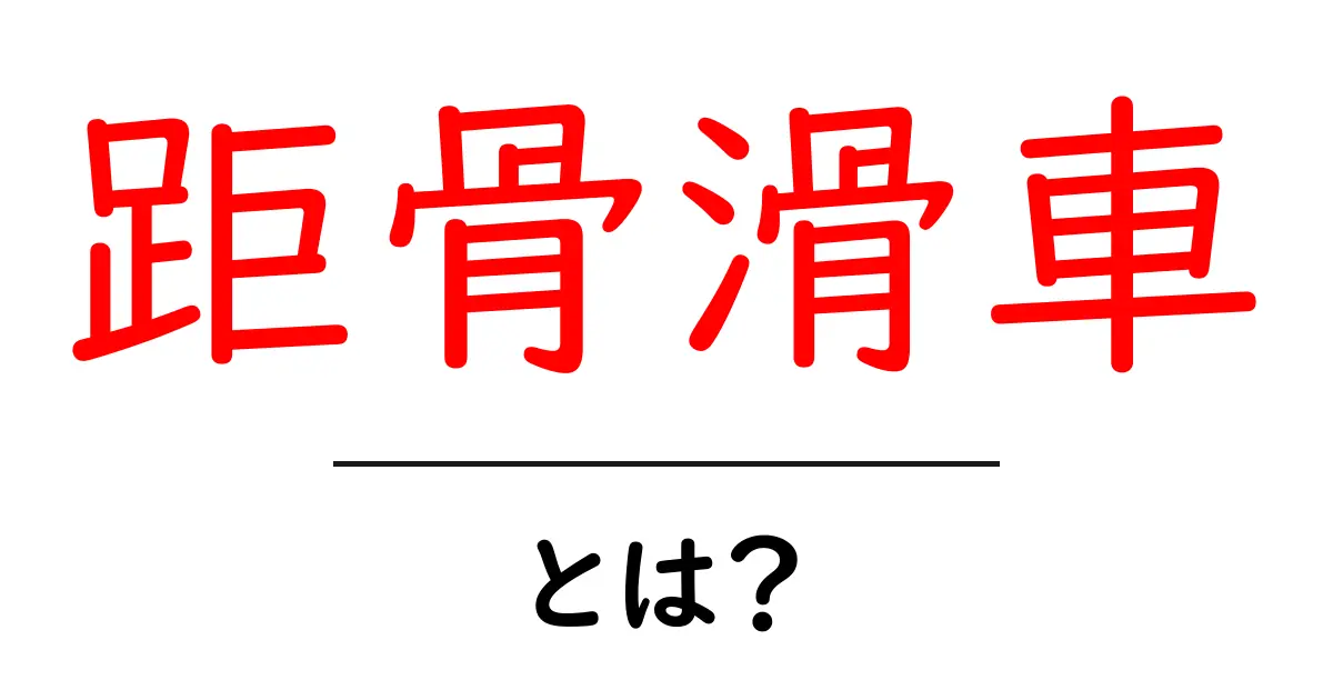 距骨滑車・とは？初心者向けわかりやすい解説共起語・同意語・対義語も併せて解説！