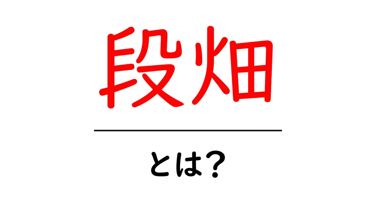 段畑とは?初心者にもわかる基本解説と活用のヒント共起語・同意語・対義語も併せて解説!