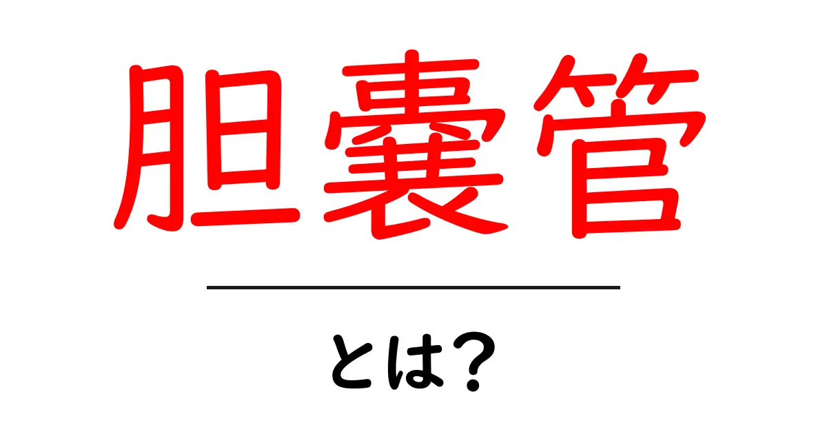 胆嚢管とは?初心者にもわかる基礎解説と日常で役立つポイント共起語・同意語・対義語も併せて解説!
