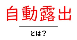 自動露出とは?初心者にも分かる写真用語の解説共起語・同意語・対義語も併せて解説!