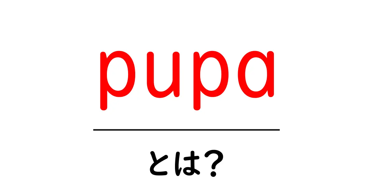 pupaとは？昆虫の成長ステージをやさしく解説する初心者向けガイド共起語・同意語・対義語も併せて解説！