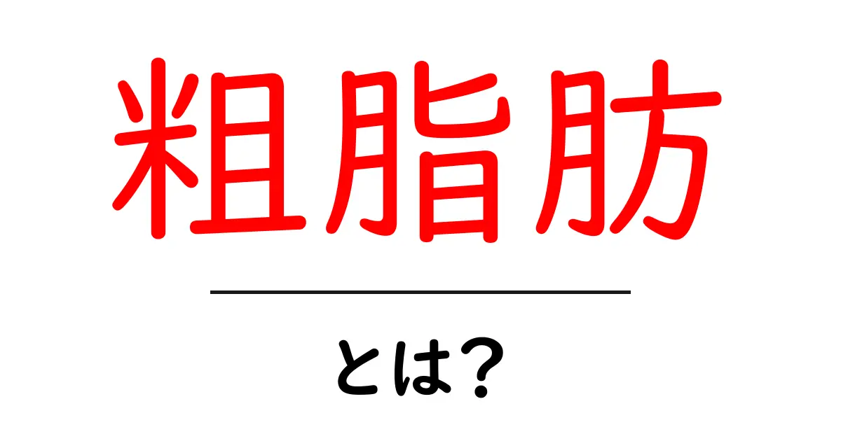 粗脂肪・とは?初心者向けに解説する基本ガイド共起語・同意語・対義語も併せて解説!