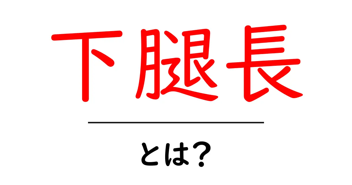 下腿長・とは?初心者にも分かる基礎解説と測定方法共起語・同意語・対義語も併せて解説!