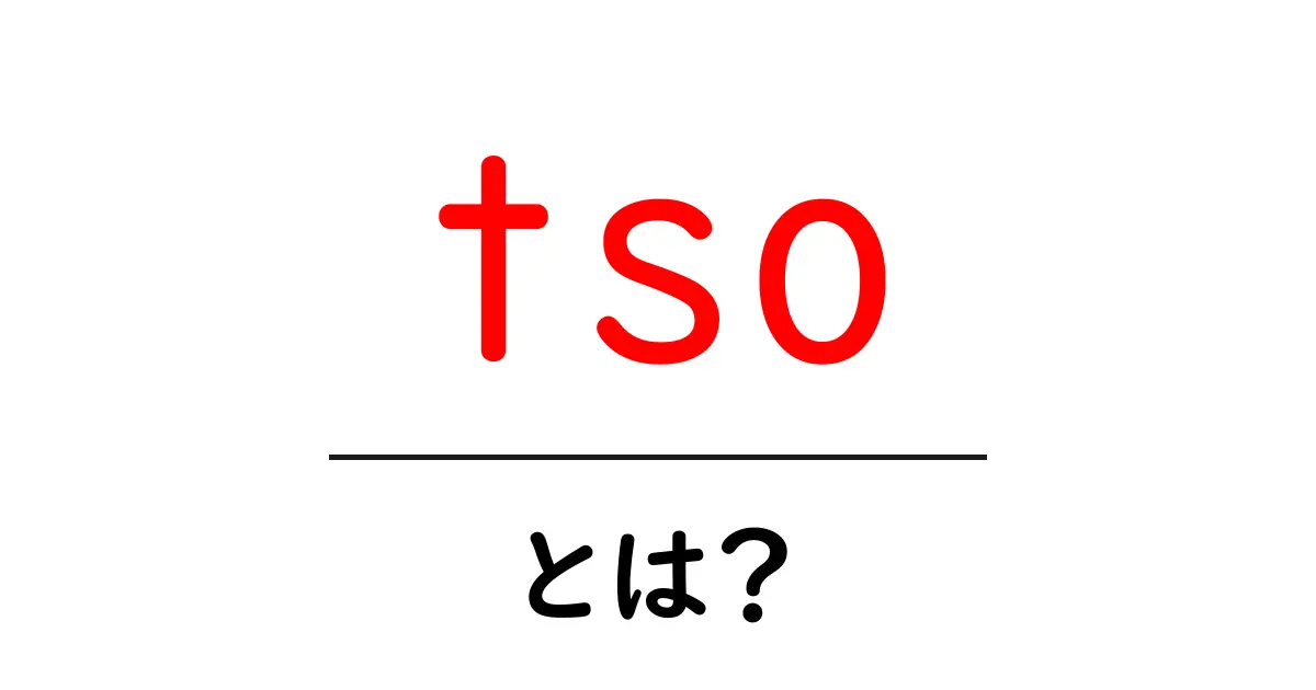 tso・とは?初心者が押さえる基本と使い方ガイド共起語・同意語・対義語も併せて解説!