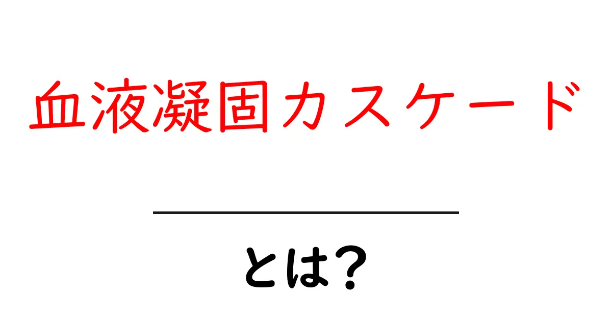 血液凝固カスケードとは?初心者にも分かる基本解説と仕組みの全体像共起語・同意語・対義語も併せて解説!