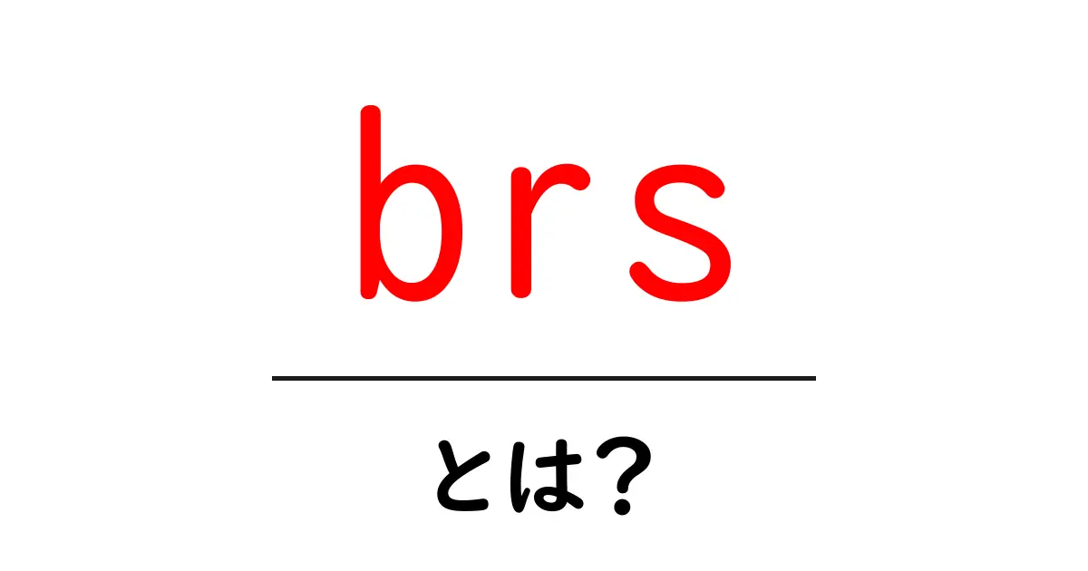brs・とは?意味と使い方を初心者にもわかる解説共起語・同意語・対義語も併せて解説!