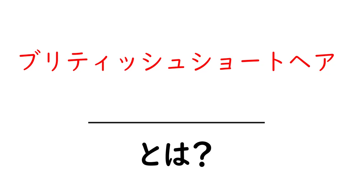 ブリティッシュショートヘアとは？魅力・特徴・飼い方を初心者向けに徹底解説共起語・同意語・対義語も併せて解説！