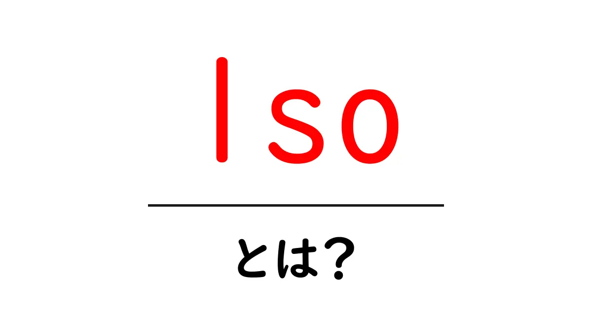 lsoとは?初心者にも分かる基本ガイド共起語・同意語・対義語も併せて解説!