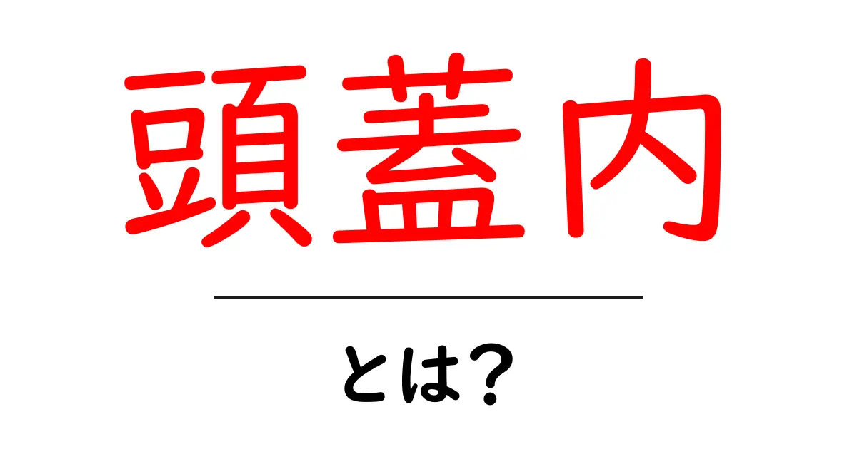 頭蓋内とは？初心者にも分かる基本ガイド共起語・同意語・対義語も併せて解説！
