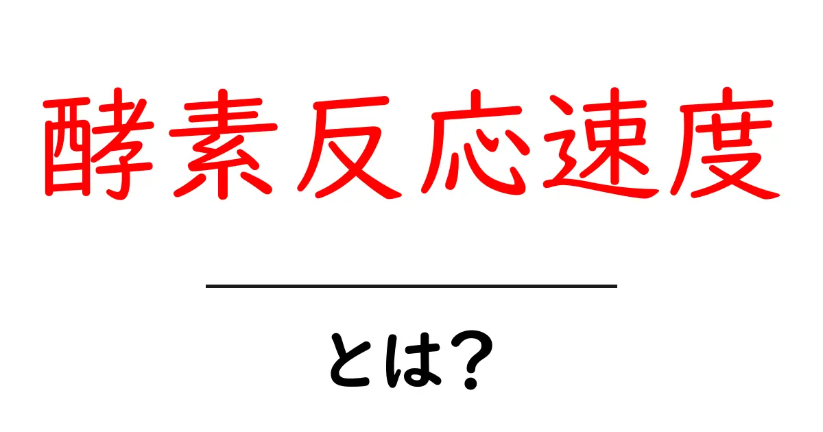 酵素反応速度・とは？初心者にも分かるやさしい解説と日常の例共起語・同意語・対義語も併せて解説！
