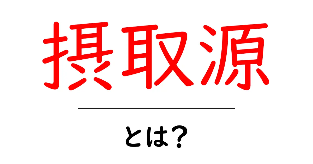 摂取源・とは？初心者にもわかる食事の基礎と効果的な選び方共起語・同意語・対義語も併せて解説！