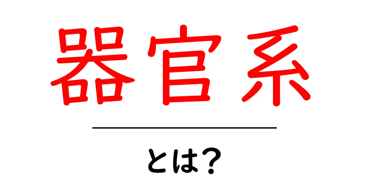 器官系とは?人体のしくみをやさしく理解できる入門ガイド共起語・同意語・対義語も併せて解説!