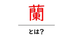 蘭・とは？初心者にやさしい蘭の基礎知識と育て方ガイド共起語・同意語・対義語も併せて解説！