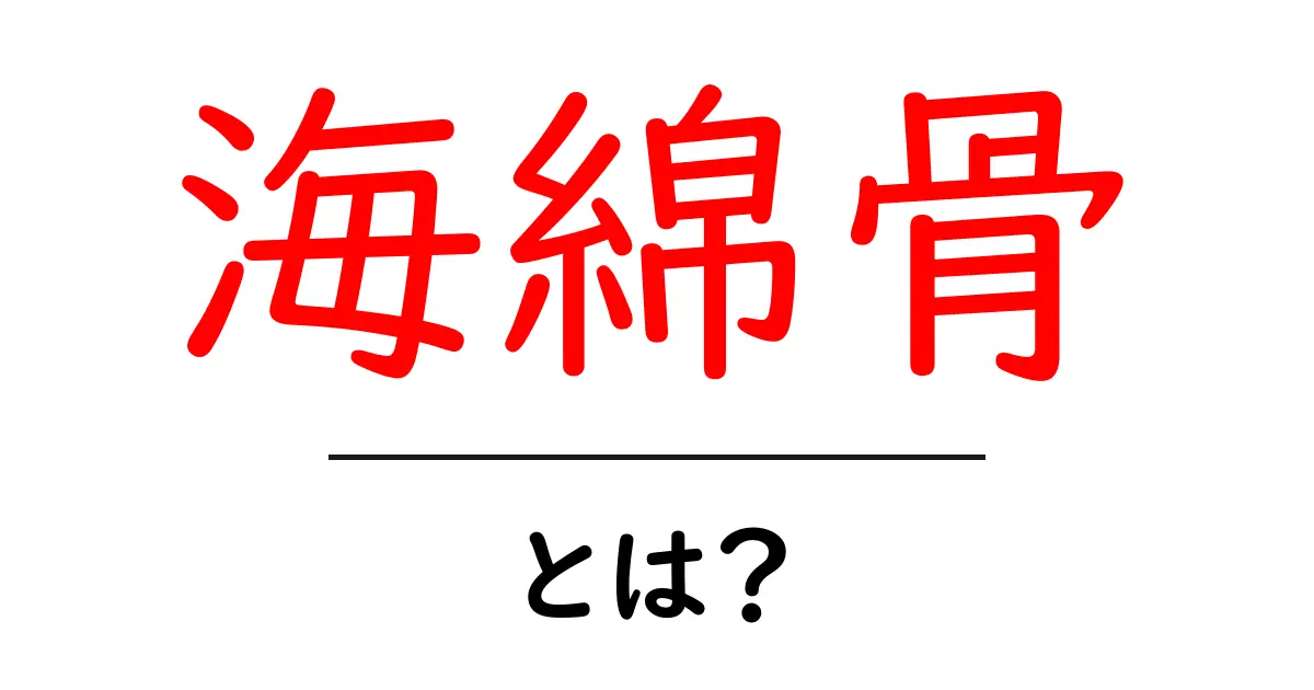 海綿骨とは?初心者にもわかる基本ガイド共起語・同意語・対義語も併せて解説!