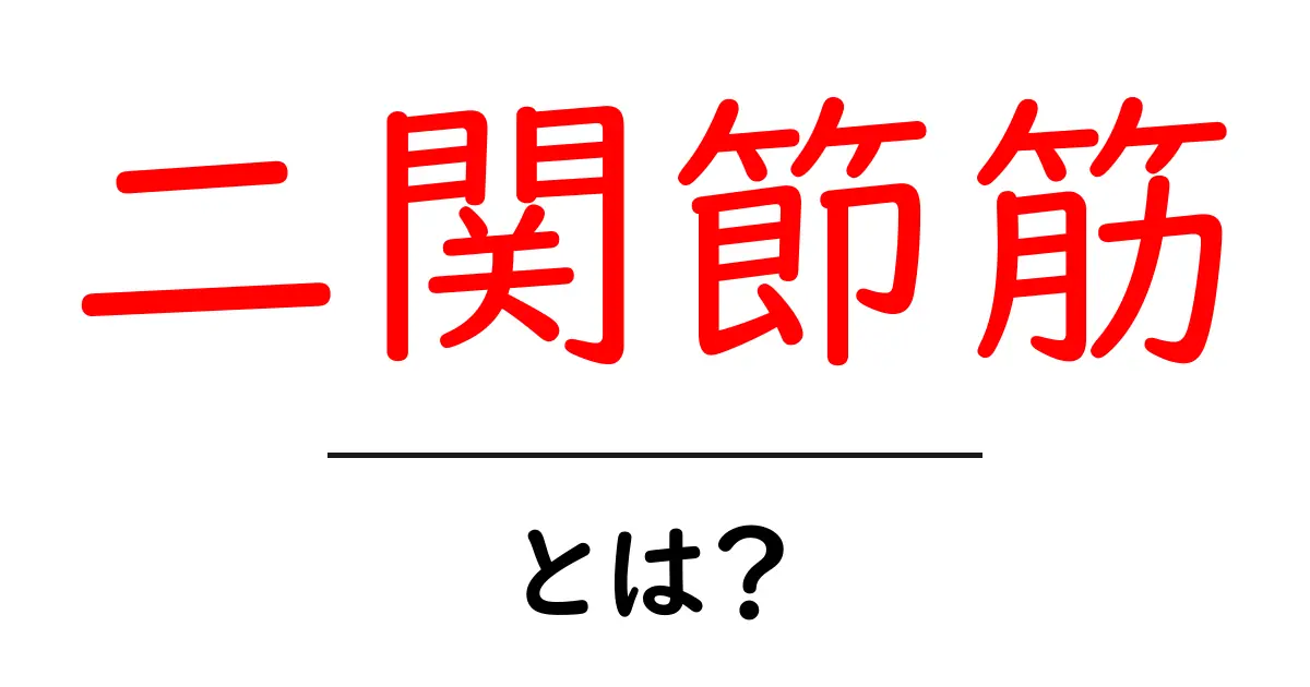 二関節筋とは?初心者でも分かる解説共起語・同意語・対義語も併せて解説!