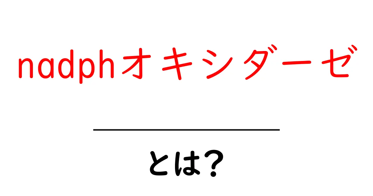 nadphオキシダーゼとは?免疫の鍵となるnadphオキシダーゼをやさしく解説共起語・同意語・対義語も併せて解説!