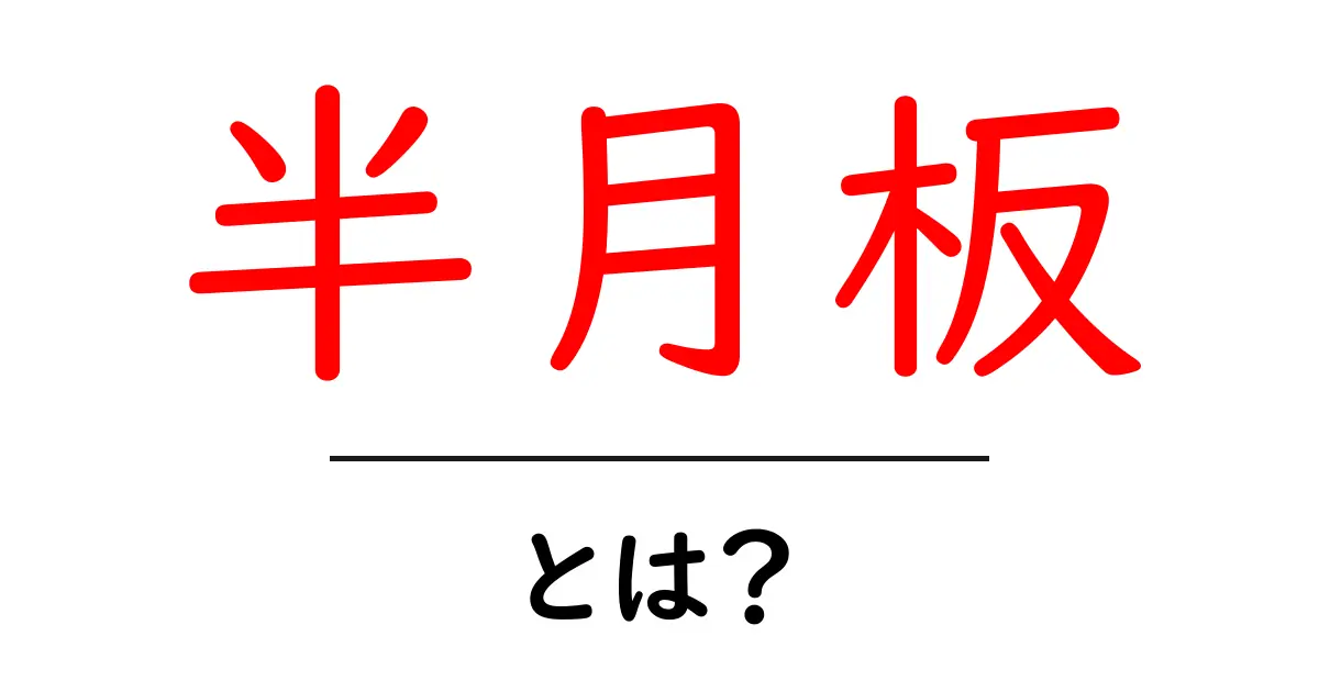 半月板・とは？ 初心者向け徹底ガイド共起語・同意語・対義語も併せて解説！