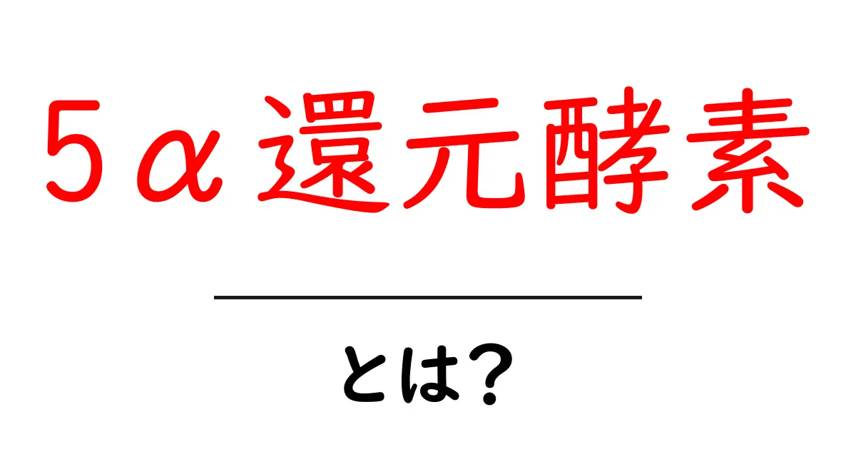 5α還元酵素とは？しくみと役割を初心者にもわかる解説共起語・同意語・対義語も併せて解説！