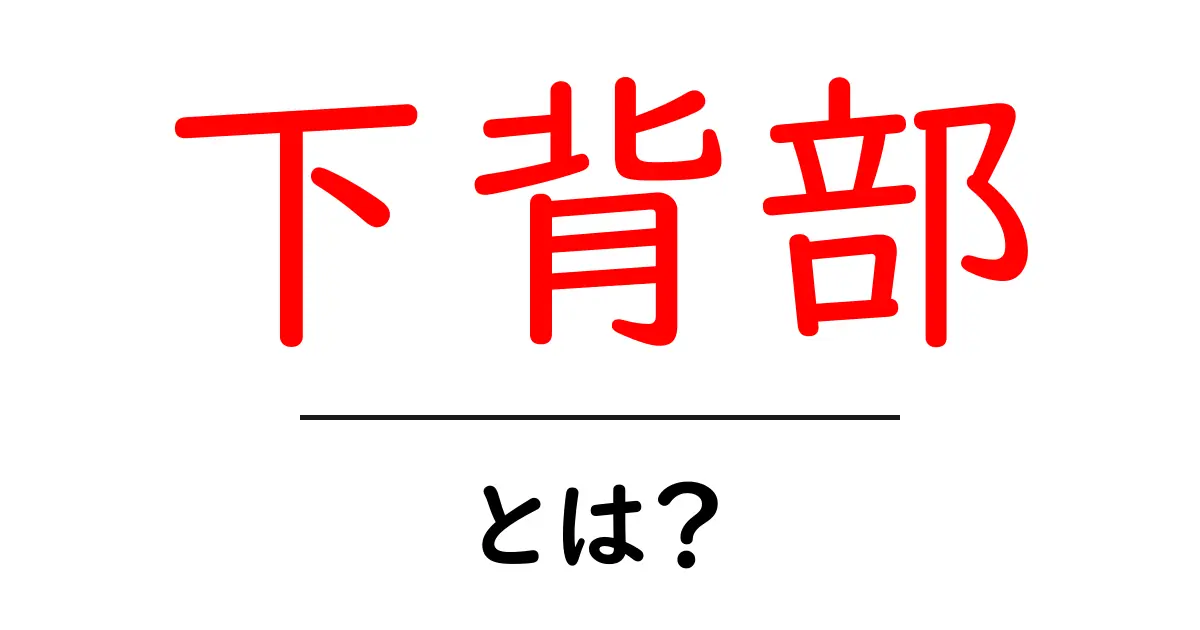 下背部とは？初心者にも分かる解説と痛みのサイン共起語・同意語・対義語も併せて解説！