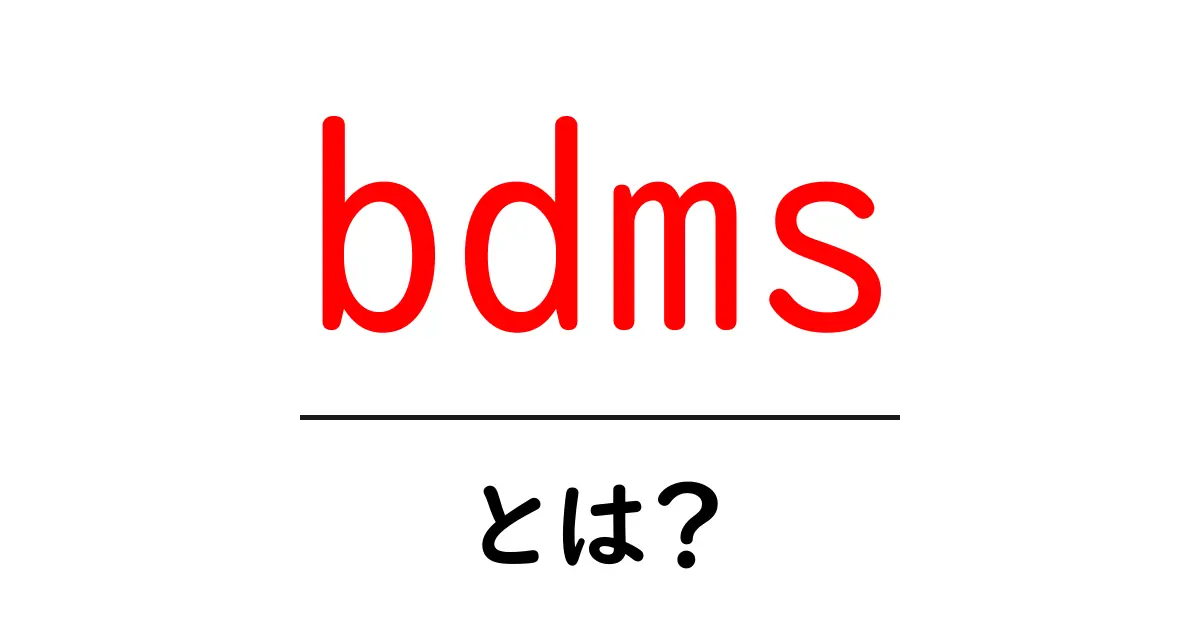 bdmsとは？初心者向けガイド：意味と使い方を徹底解説共起語・同意語・対義語も併せて解説！