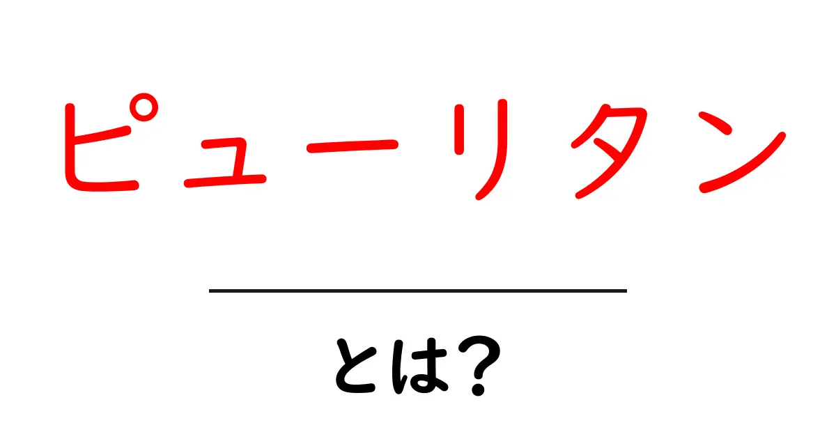 ピューリタンとは？初心者向けに基礎と歴史をやさしく解説共起語・同意語・対義語も併せて解説！