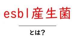 esbl産生菌・とは？初心者にも分かる基礎知識と身近な注意点共起語・同意語・対義語も併せて解説！