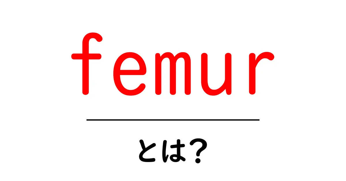 femurとは?太ももの骨の仕組みと役割を初心者向けに解説共起語・同意語・対義語も併せて解説!