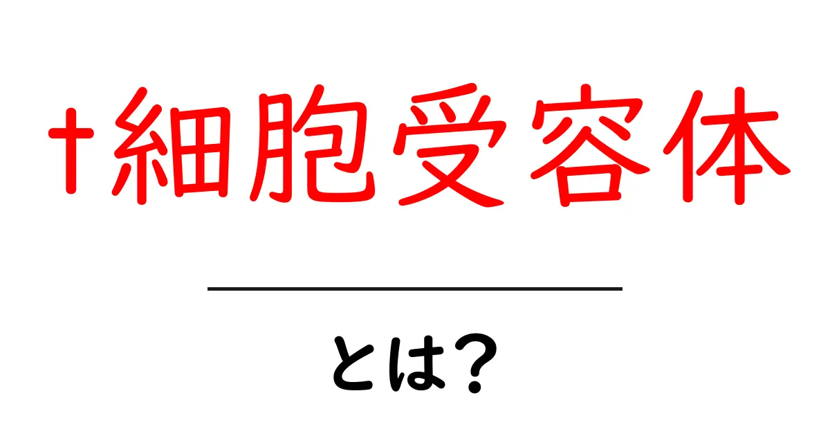 t細胞受容体・とは？免疫の仕組みをやさしく解説共起語・同意語・対義語も併せて解説！