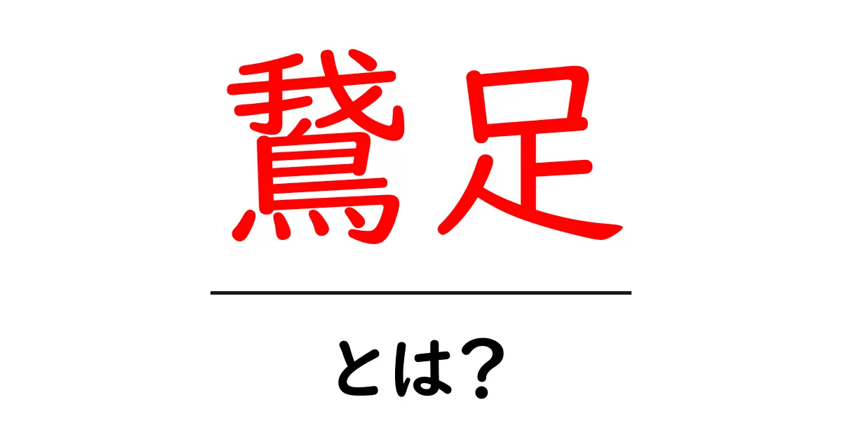 鵞足・とは？解剖からケガ予防までわかりやすく解説共起語・同意語・対義語も併せて解説！