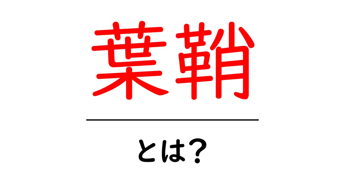 葉鞘・とは？初心者にもわかる葉鞘の役割と植物構造の基本共起語・同意語・対義語も併せて解説！