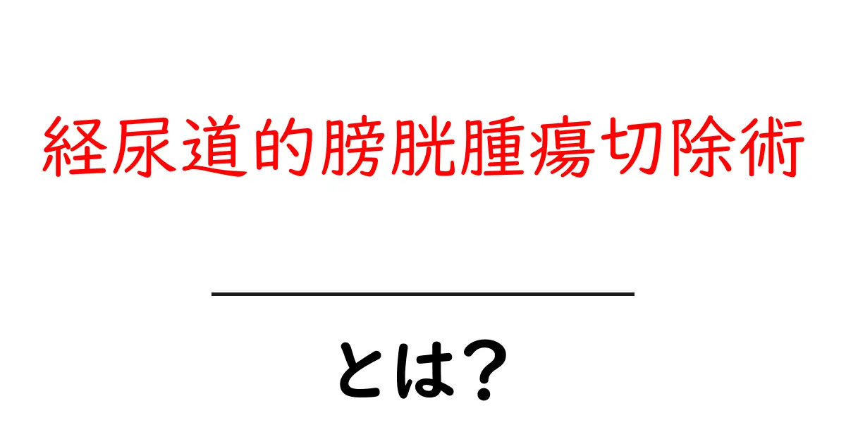経尿道的膀胱腫瘍切除術とは?初心者にもわかる手術の基本と流れ共起語・同意語・対義語も併せて解説!