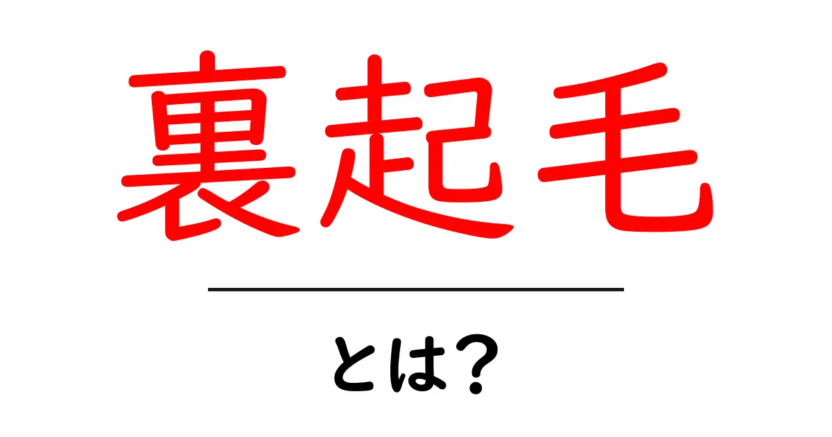 裏起毛・とは？初心者でもよくわかる裏起毛のしくみと選び方共起語・同意語・対義語も併せて解説！