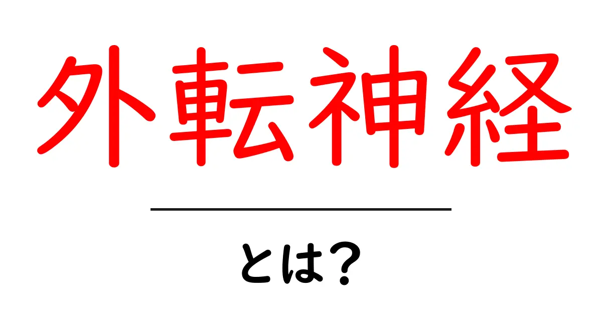 外転神経とは？目の横動きを支える神経の基本をやさしく解説共起語・同意語・対義語も併せて解説！