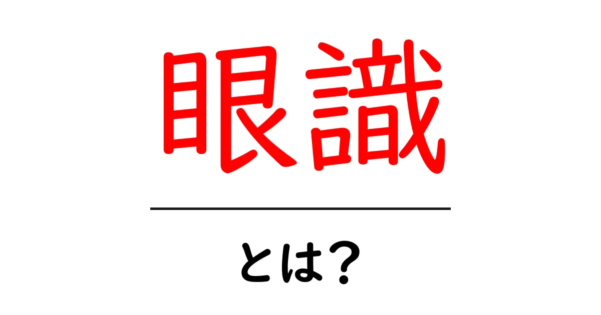眼識・とは?今すぐ押さえる眼識の意味と使い方共起語・同意語・対義語も併せて解説!