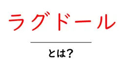 ラグドールとは？初心者にやさしい特徴と飼い方ガイド共起語・同意語・対義語も併せて解説！