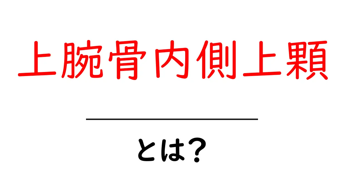 上腕骨内側上顆とは？肘の内側を支える骨の役割と痛みの原因をわかりやすく解説共起語・同意語・対義語も併せて解説！