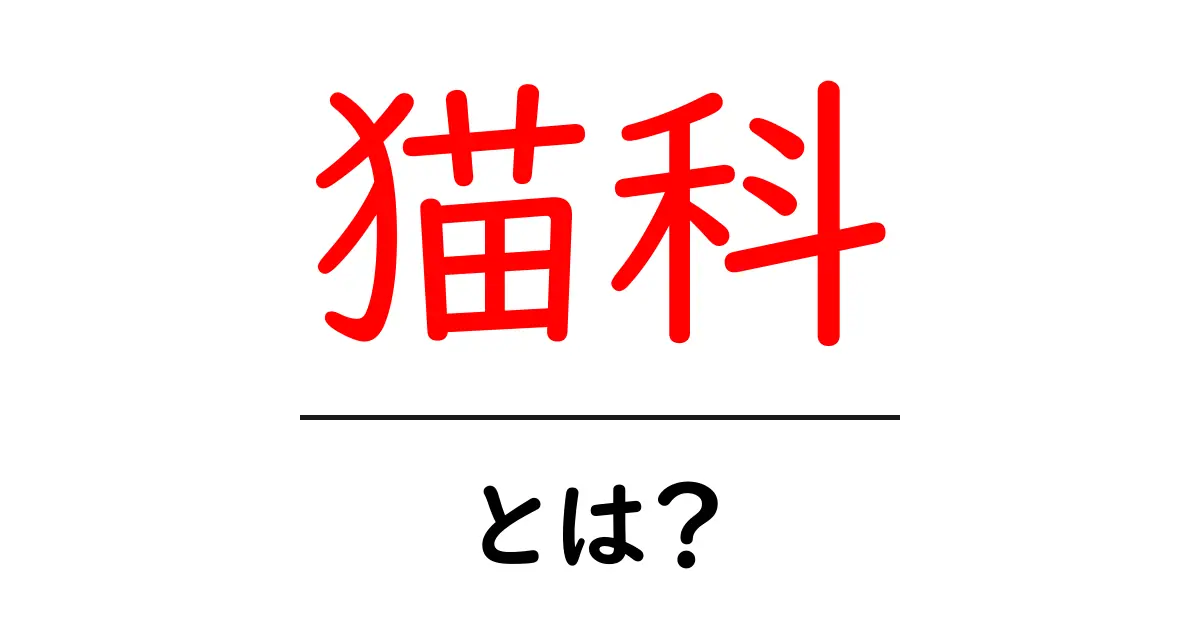 猫科とは？初心者でも分かる猫科の基礎と特徴を解説共起語・同意語・対義語も併せて解説！