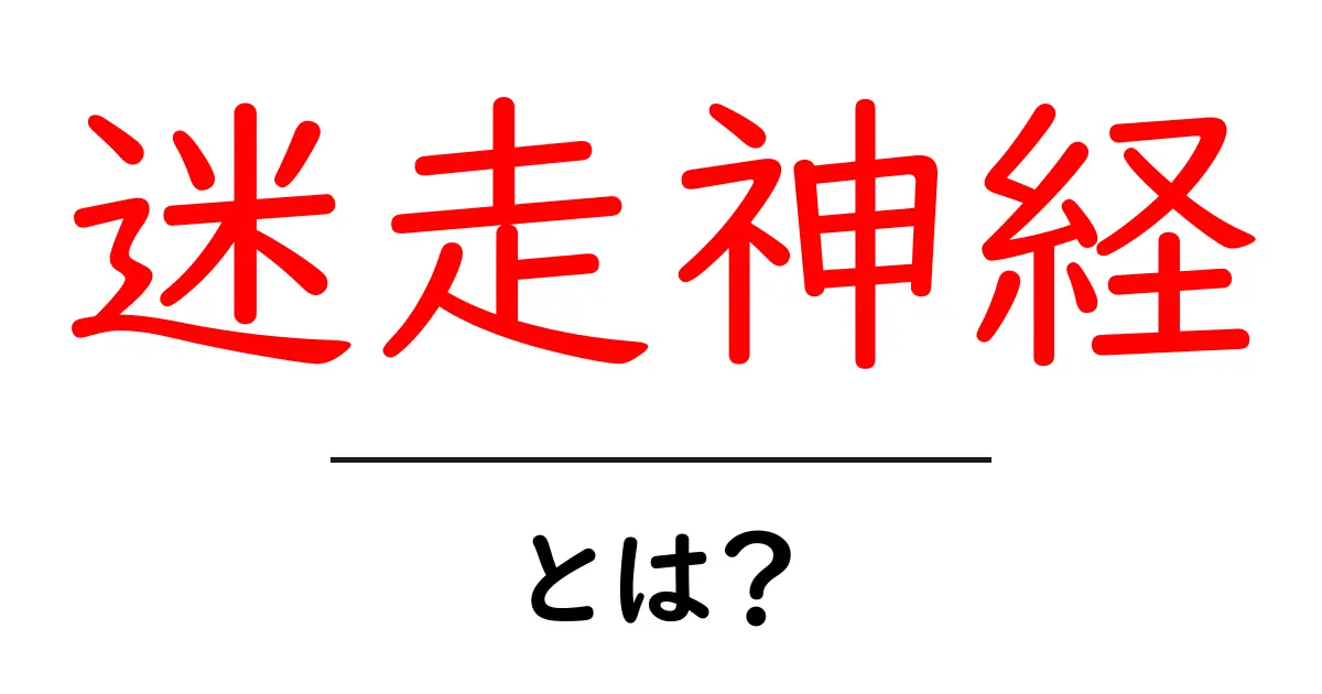 迷走神経・とは？ 体の神経をやさしく解説する入門ガイド共起語・同意語・対義語も併せて解説！